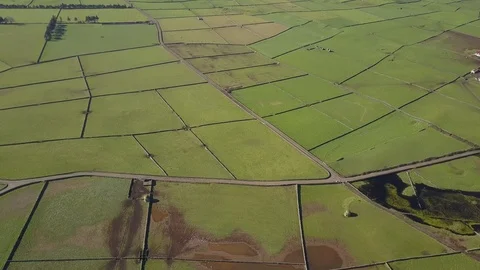 Aerial Fly Over Green Patchwork Quilt Volcanic Stonewall Fields, Serra Do Cume Video stock 90737390