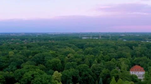 Aerial fly over lush forest canopy at twilight with pink sky, serene nature Stock Footage 312593059