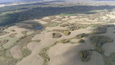Aerial fly over mowed fields with small Islands of forest and swamps Stock Footage 115910729