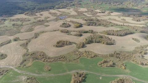 Aerial fly over mowed fields with small Islands of forest and swamps Stock Footage 115910763