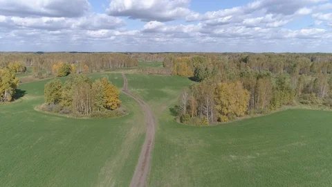 Aerial fly over mowed fields with small Islands of forest and swamps Stock Footage 115910823