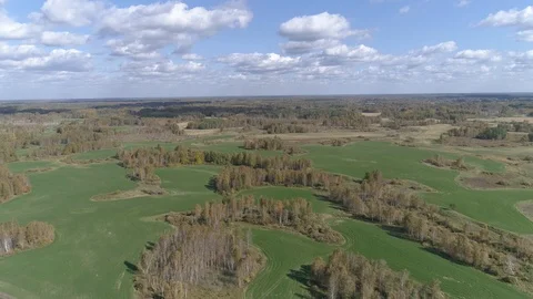 Aerial fly over mowed fields with small Islands of forest and swamps Stock Footage 115910892