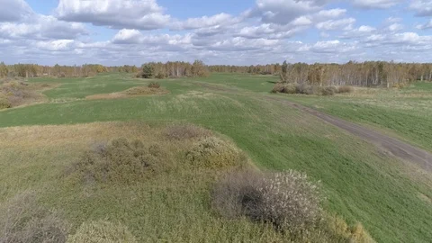 Aerial fly over mowed fields with small Islands of forest and swamps Stock Footage 115910928