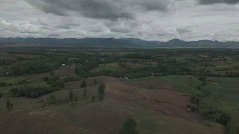 Aerial Fly-Over of Open Green Hilltop With Lone Silhouette Trees and Vast P.. Stock Footage 337390559