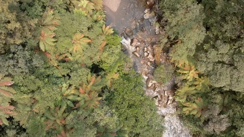 Aerial: fly over a pristine river in Pureora forest, New Zealand 스톡 동영상 122525901