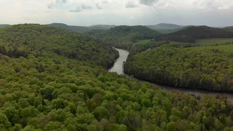 Aerial fly over, Red River and forest in Arundel, Quebec. Stock Footage 113877249