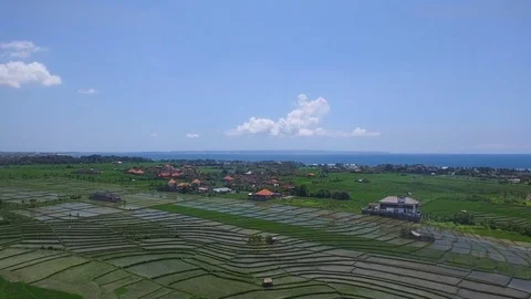 Aerial fly over rice fields and village to the beach Stock Footage 77556462