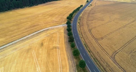 Aerial fly over the road between agriculturw fields with car travelling Stock Footage 97784537
