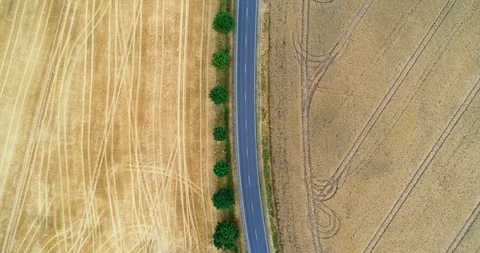 Aerial fly over the road between agriculturw fields with car travelling Stock Footage 97784560