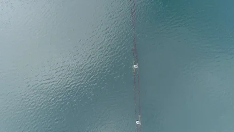 Aerial fly over tracking old permenant netting lines attached with buoys Video stock 99303968
