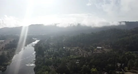 Aerial - Fly Over Trees Stock Footage 148411491