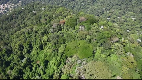 Aerial fly over tropical forest on hills Full HD 1080p Stock Footage
