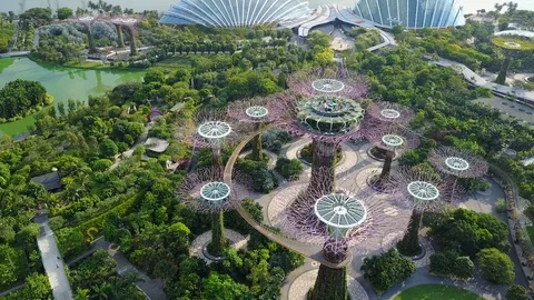 Aerial fly-over view of Gardens By The Bay, Singapore Stock Footage