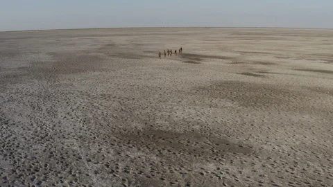 Aerial fly over view of a group of Bushman walking over the vast expanse of the Video stock 106669425