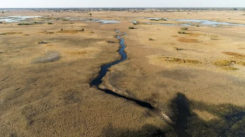 Aerial fly over view of a herd of Lechwe antelope grazing Stock Footage 118290559