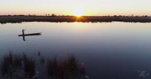 Aerial fly over view of one poler rowing a Mokoro on the waterways of the Stock Footage 78210942