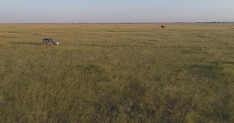 Aerial fly over view of safari vehicle driving through the grasslands of Stock Footage 78190891