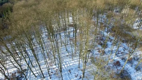 Aerial  fly over winter forrest landscape in germany - dronen flight Stock Footage 71485598