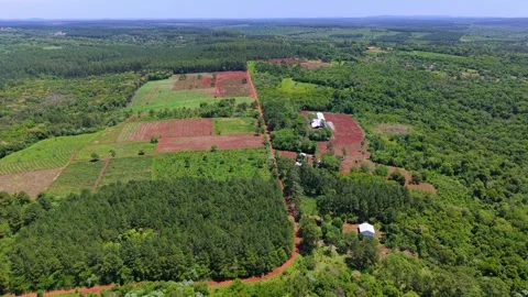 Aerial fly Parceled Green Forest and Farmland Landscape in Misiones, Argentina Video stock 323899450