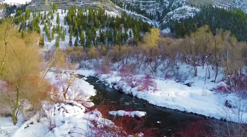 Aerial fly up river in winter Stock Footage 60739491