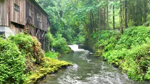 Aerial Fly Through of Cedar Creek Grist Mill in Lush Woodland Washington Stock Footage 280141296