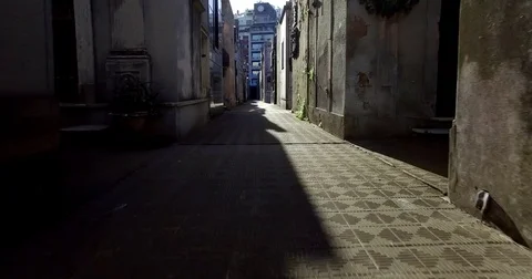 Aerial fly through the Cemetry de la Recoleta. Buenos Aires. Argentina. Shot in Video stock 77815009