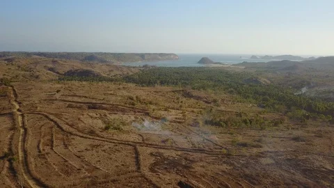 Aerial Fly through fires burning in savanna, Bali, Indonesia Stock Footage 129043326