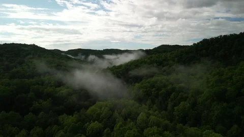Aerial fly through low clouds in Julien West Virginia over Appalachian forest Stock Footage 310262751