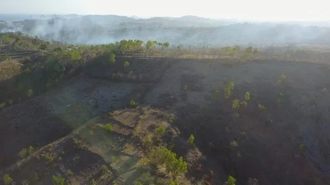 Aerial Fly through smoke fire savanna bali, Indonesia Stock Footage 129044361