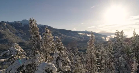 Aerial Fly Through A Snow Covered Forest At Sunset With Views Of A Ski Resort Stock Footage 100472706
