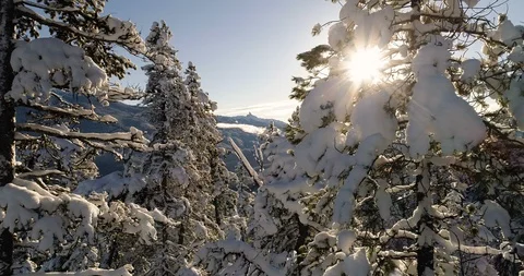 Aerial Fly Through Snowy Trees In The Mountains At Sunset Stock-Footage 100476347