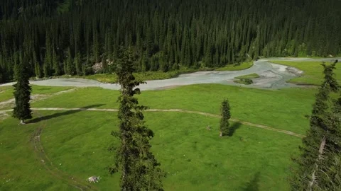 Aerial Fly Through Trees to Mountain River Reveal - Cinematic Landscape Video stock 331597040