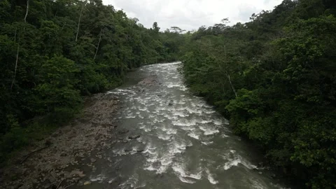 Aerial fly under bridge over Rio Barranca river in Costa Rica in lush jungle Stock Footage 329597658