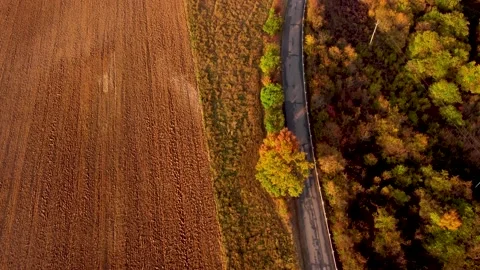 Aerial flyby above the road with moving cars 库存影片 164915853