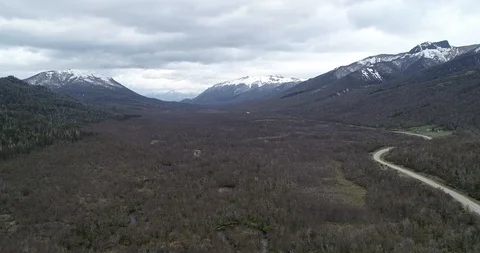 Aerial flying above diciduous native woods at mountanious landscape 스톡 동영상 126253253