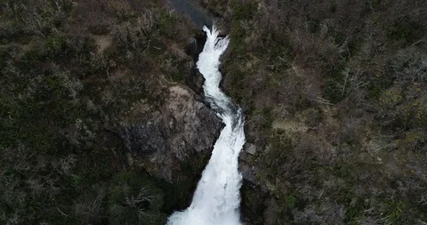 Aerial flying above diciduous native woods and river at mountanious landscape 스톡 동영상 126253310