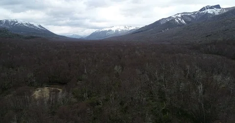 Aerial flying above diciduous native woods at mountanious landscape. Route 40 스톡 동영상 126253701