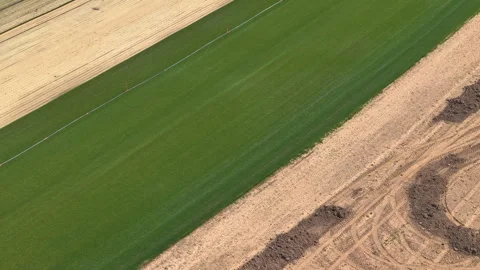 AERIAL: Flying above a large patch of lush green grass at a massive sod farm. Stock Footage 268765191