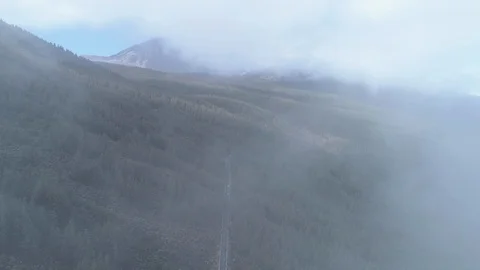 Aerial - Flying in and out of the cloud above the road surrounded by pine forest 库存影片 86265668