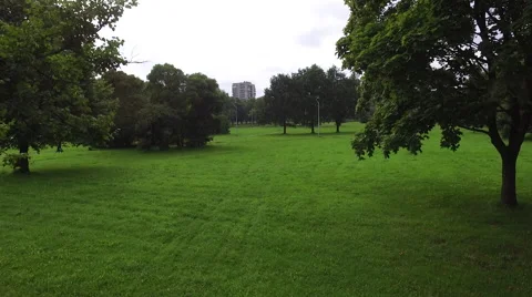Aerial Flying Between Park Trees Stock Footage 68623163