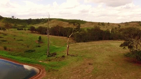 Aerial flying between trees over rural property with dam Video stock 82781159