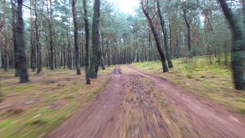 Aerial Flying Between Trees Over Dirt Road in Autumn Forest Stock Footage 99537047