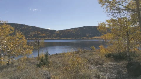 Aerial-Flying between yellow fall aspen trees to clear mountain lake-Aerial Stock Footage 219378457
