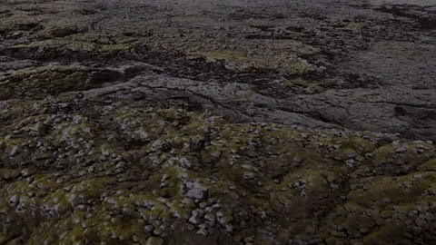 Aerial flying close over moss covered lava rocks in Iceland Stock Footage 234591443