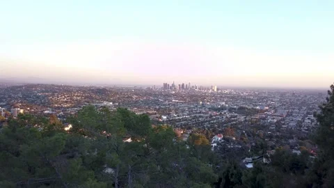 Aerial flying close to tree branches and above the biggest city in California - 動画素材 165130062