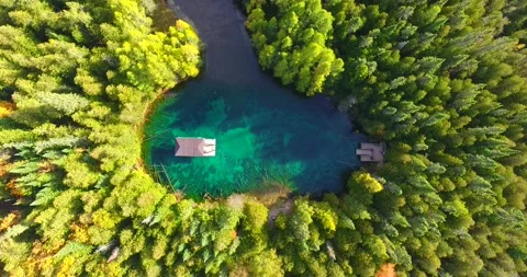 Aerial flying down towards The Big Spring in Michigan surrounded by pine trees Stock Footage 162924637