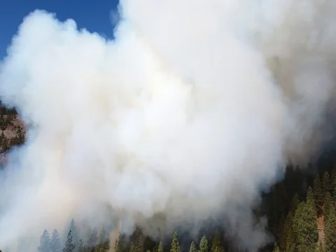 Aerial flying into a forest fire smoke. Stock-Footage 80972562
