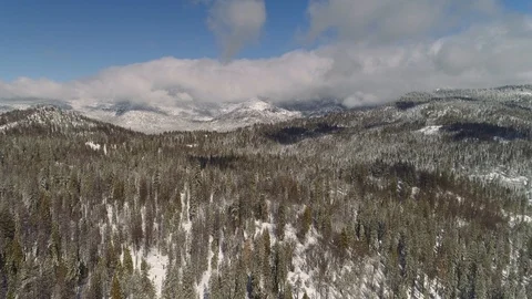 Aerial flying high over a forest in mountains in winter. Lots of snow. Video stock 103131041