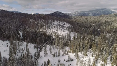 Aerial flying high over forest in winter with creek below. Snow covered ground. 库存影片 104237708