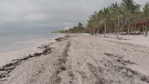 Aerial Flying Low Over Beach Shore Line 6K LOG.  Stock Footage 199872030
